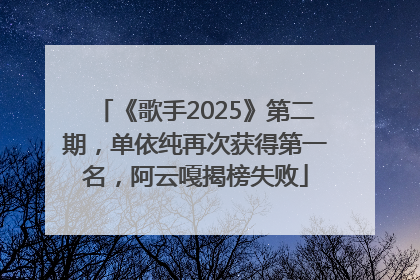 《歌手2025》第二期，单依纯再次获得第一名，阿云嘎揭榜失败