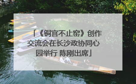 《铜官不止窑》创作交流会在长沙政协同心园举行 陈刚出席