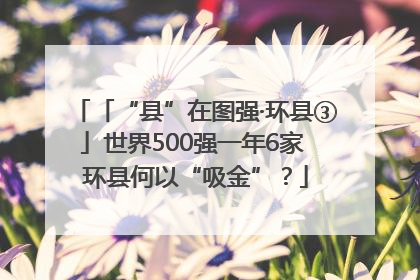 「“县”在图强·环县③」世界500强一年6家 环县何以“吸金”？