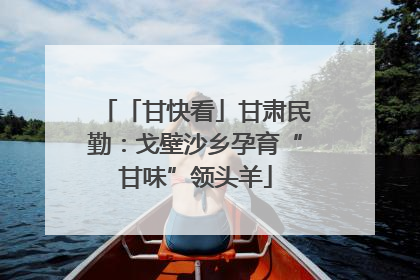 「甘快看」甘肃民勤：戈壁沙乡孕育“甘味”领头羊