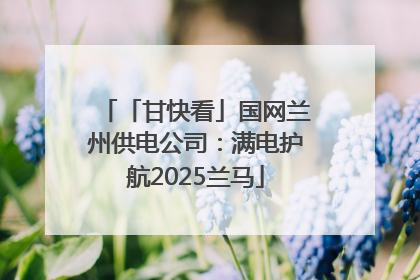 「甘快看」国网兰州供电公司：满电护航2025兰马