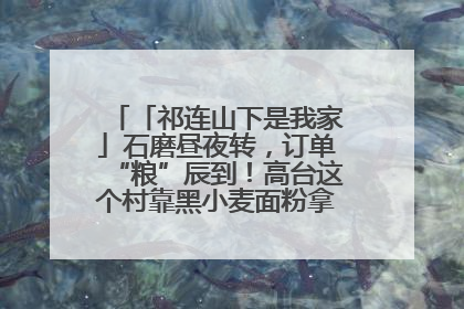 「祁连山下是我家」石磨昼夜转，订单“粮”辰到！高台这个村靠黑小麦面粉拿下成立来最大订单