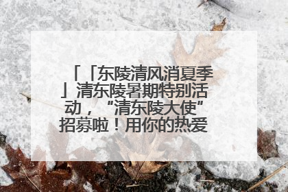 「东陵清风消夏季」清东陵暑期特别活动，“清东陵大使”招募啦！用你的热爱守护世界遗产！