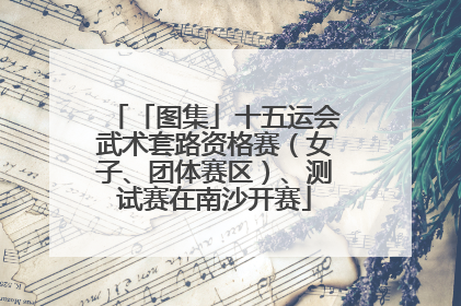 「图集」十五运会武术套路资格赛（女子、团体赛区）、测试赛在南沙开赛