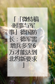 「微特稿·时事与军事」德国防长：德军需增兵多至6万才能达到北约新要求