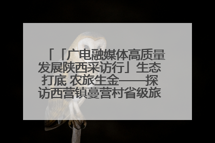 「广电融媒体高质量发展陕西采访行」生态打底 农旅生金——探访西营镇蔓营村省级旅游示范村的振兴密码