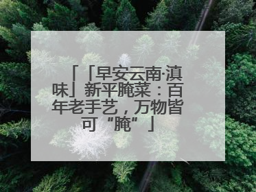 「早安云南·滇味」新平腌菜：百年老手艺，万物皆可“腌”