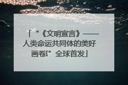 “《文明宣言》——人类命运共同体的美好画卷I”全球首发