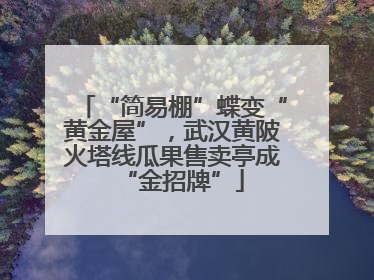 “简易棚”蝶变“黄金屋”，武汉黄陂火塔线瓜果售卖亭成“金招牌”