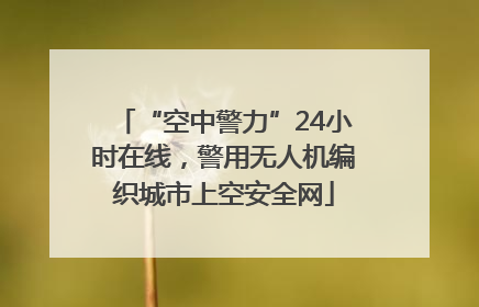 “空中警力”24小时在线，警用无人机编织城市上空安全网