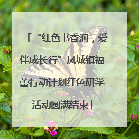 “红色书香润，爱伴成长行”凤城镇福蕾行动计划红色研学活动圆满结束