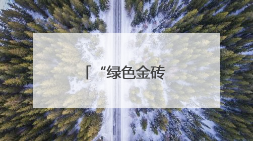 “绿色金砖 金色未来”金砖国家智库国际研讨会在京举行