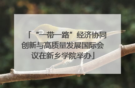 “一带一路”经济协同创新与高质量发展国际会议在新乡学院举办