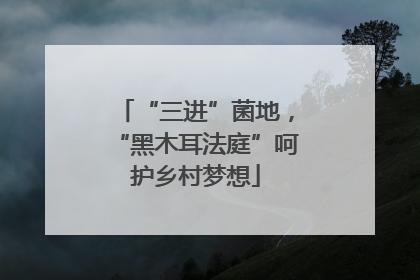 “三进”菌地，“黑木耳法庭”呵护乡村梦想