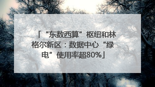 “东数西算”枢纽和林格尔新区：数据中心“绿电”使用率超80%