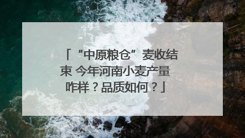 “中原粮仓”麦收结束 今年河南小麦产量咋样？品质如何？