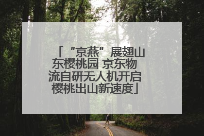 “京燕”展翅山东樱桃园 京东物流自研无人机开启樱桃出山新速度