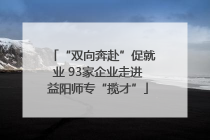 “双向奔赴”促就业 93家企业走进益阳师专“揽才”