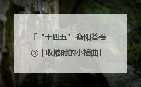 “十四五”·衡阳答卷③｜收粮时的小插曲