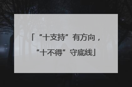 “十支持”有方向，“十不得”守底线