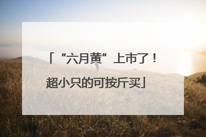 “六月黄”上市了！超小只的可按斤买