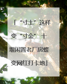 “寸土”这样变“寸金” 十堰闲置老厂房蝶变网红打卡地