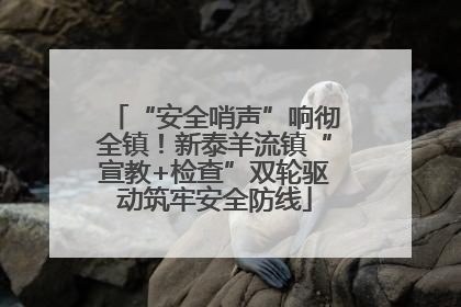 “安全哨声”响彻全镇！新泰羊流镇“宣教+检查”双轮驱动筑牢安全防线