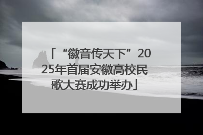 “徽音传天下”2025年首届安徽高校民歌大赛成功举办