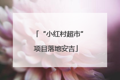 “小红村超市”项目落地安吉