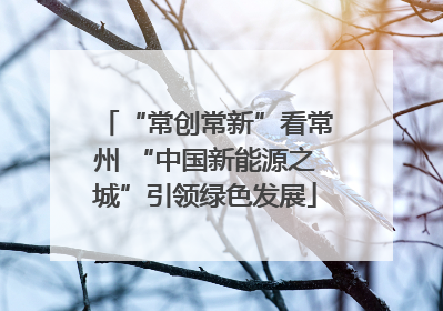 “常创常新”看常州 “中国新能源之城”引领绿色发展
