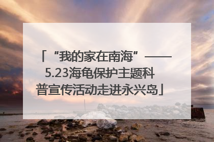 “我的家在南海”——5.23海龟保护主题科普宣传活动走进永兴岛