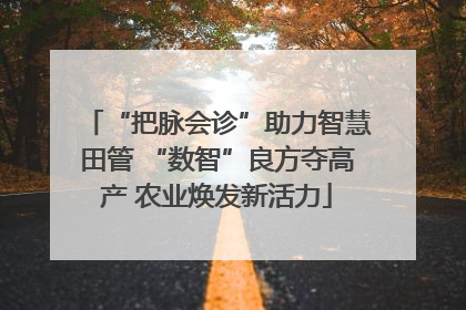 “把脉会诊”助力智慧田管 “数智”良方夺高产 农业焕发新活力
