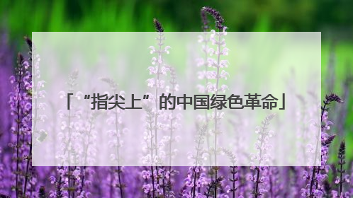 “指尖上”的中国绿色革命