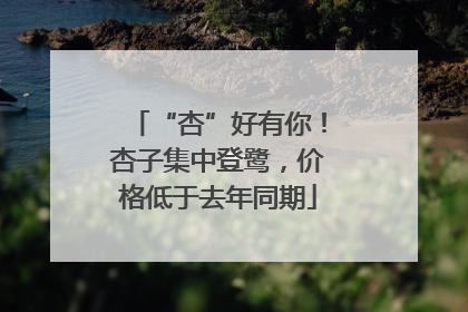 “杏”好有你！杏子集中登鹭，价格低于去年同期