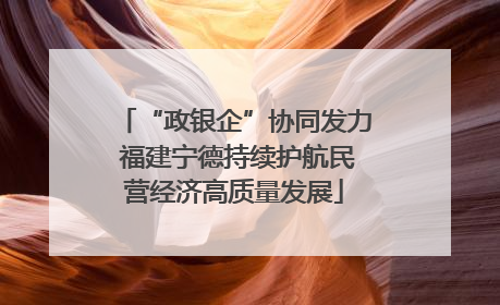 “政银企”协同发力 福建宁德持续护航民营经济高质量发展
