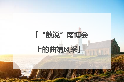 “数说”南博会上的曲靖风采