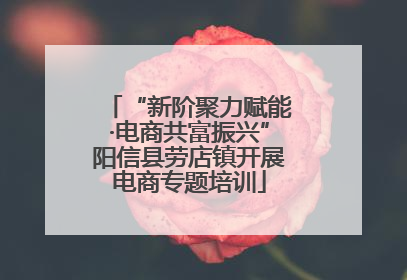 “新阶聚力赋能·电商共富振兴”阳信县劳店镇开展电商专题培训