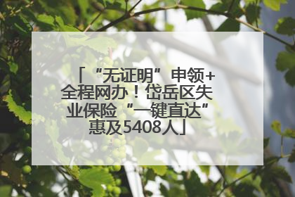 “无证明”申领+全程网办！岱岳区失业保险“一键直达”惠及5408人