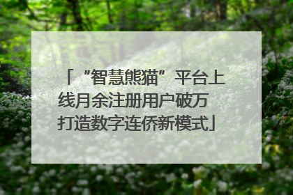 “智慧熊猫”平台上线月余注册用户破万 打造数字连侨新模式