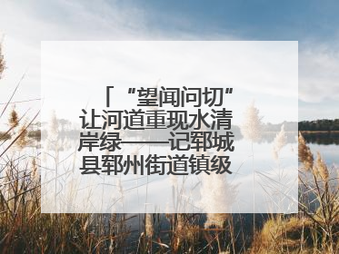 “望闻问切”让河道重现水清岸绿——记郓城县郓州街道镇级河长孟泓辰