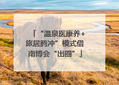“温泉医康养+旅居腾冲”模式借南博会“出圈”