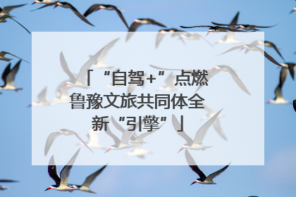 “自驾+”点燃鲁豫文旅共同体全新“引擎”