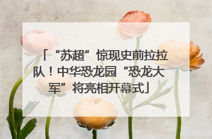 “苏超”惊现史前拉拉队！中华恐龙园“恐龙大军”将亮相开幕式
