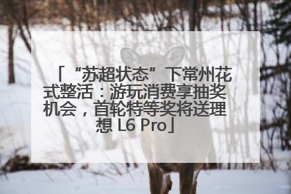 “苏超状态”下常州花式整活：游玩消费享抽奖机会，首轮特等奖将送理想 L6 Pro