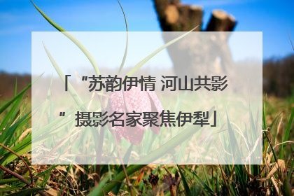“苏韵伊情 河山共影”摄影名家聚焦伊犁