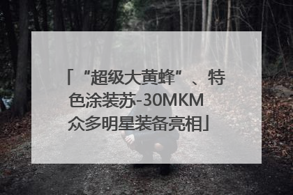 “超级大黄蜂”、特色涂装苏-30MKM 众多明星装备亮相