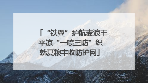 “铁翼”护航麦浪丰 平凉“一喷三防”织就夏粮丰收防护网