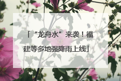 “龙舟水”来袭！福建等多地强降雨上线