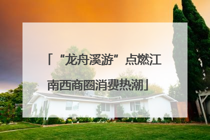 “龙舟溪游”点燃江南西商圈消费热潮