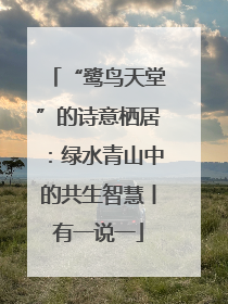 “鹭鸟天堂”的诗意栖居：绿水青山中的共生智慧丨有一说一